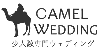 CAMEL WEDDING